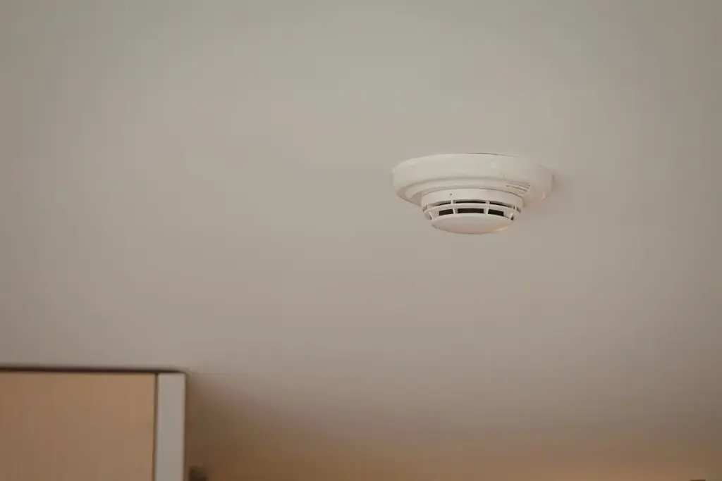 Do You Need Both Smoke Alarms and CO Detectors